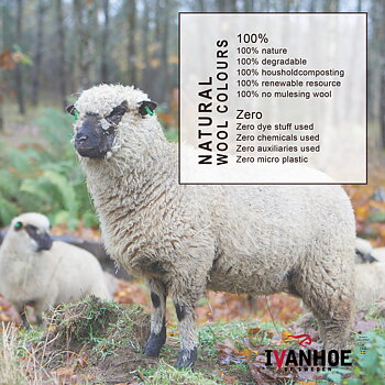 Underwool kortärmad  tröja  i ofärgad Merinoull 