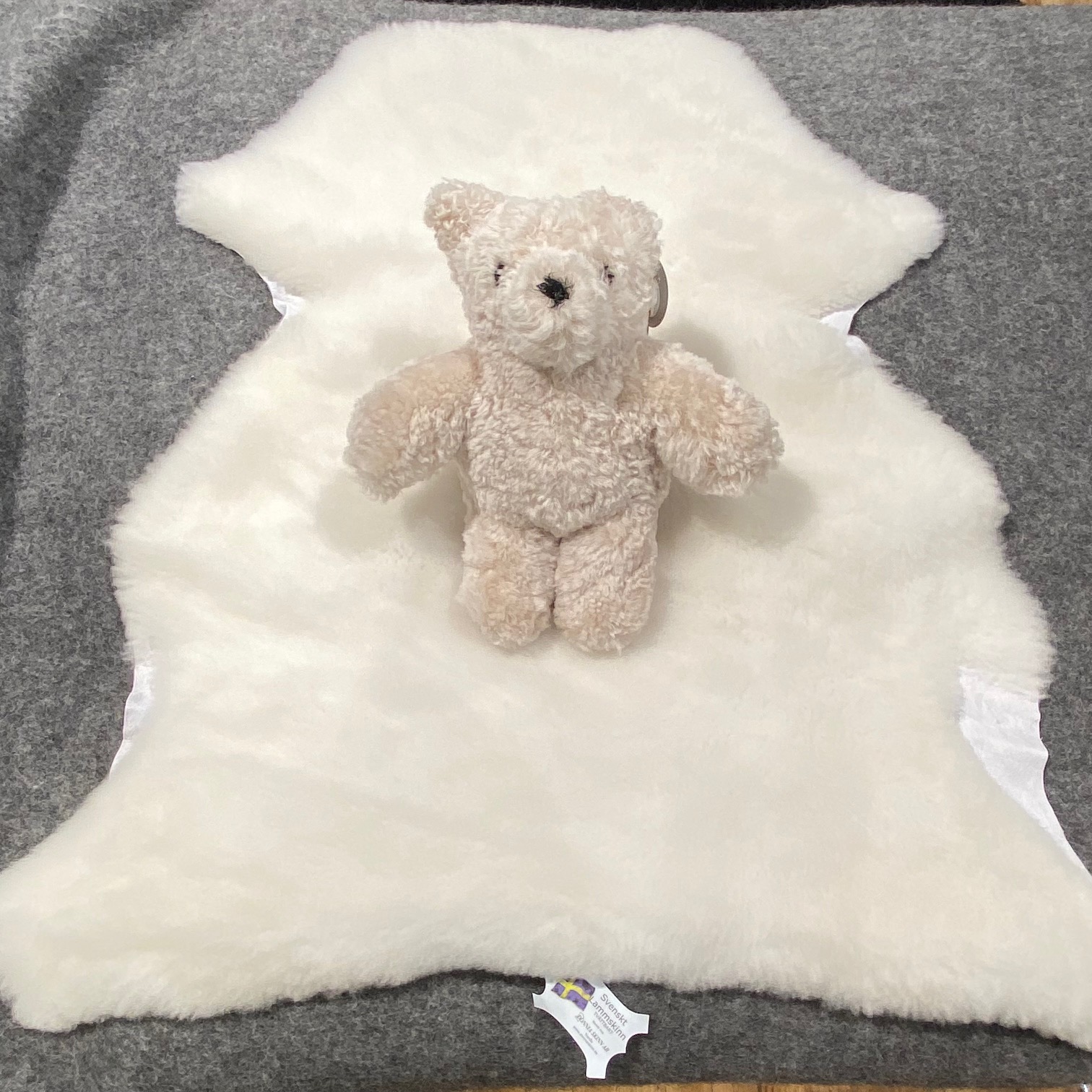 Nalle i äkta lammskinn! - 4