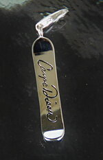 Snowboard "Carpe Diem"