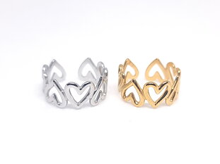Ring Stainless Steel