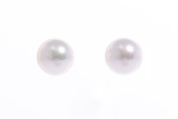 Perlenohrringe-Akoya in AAA-Qualität in Gold 9–9.5 mm