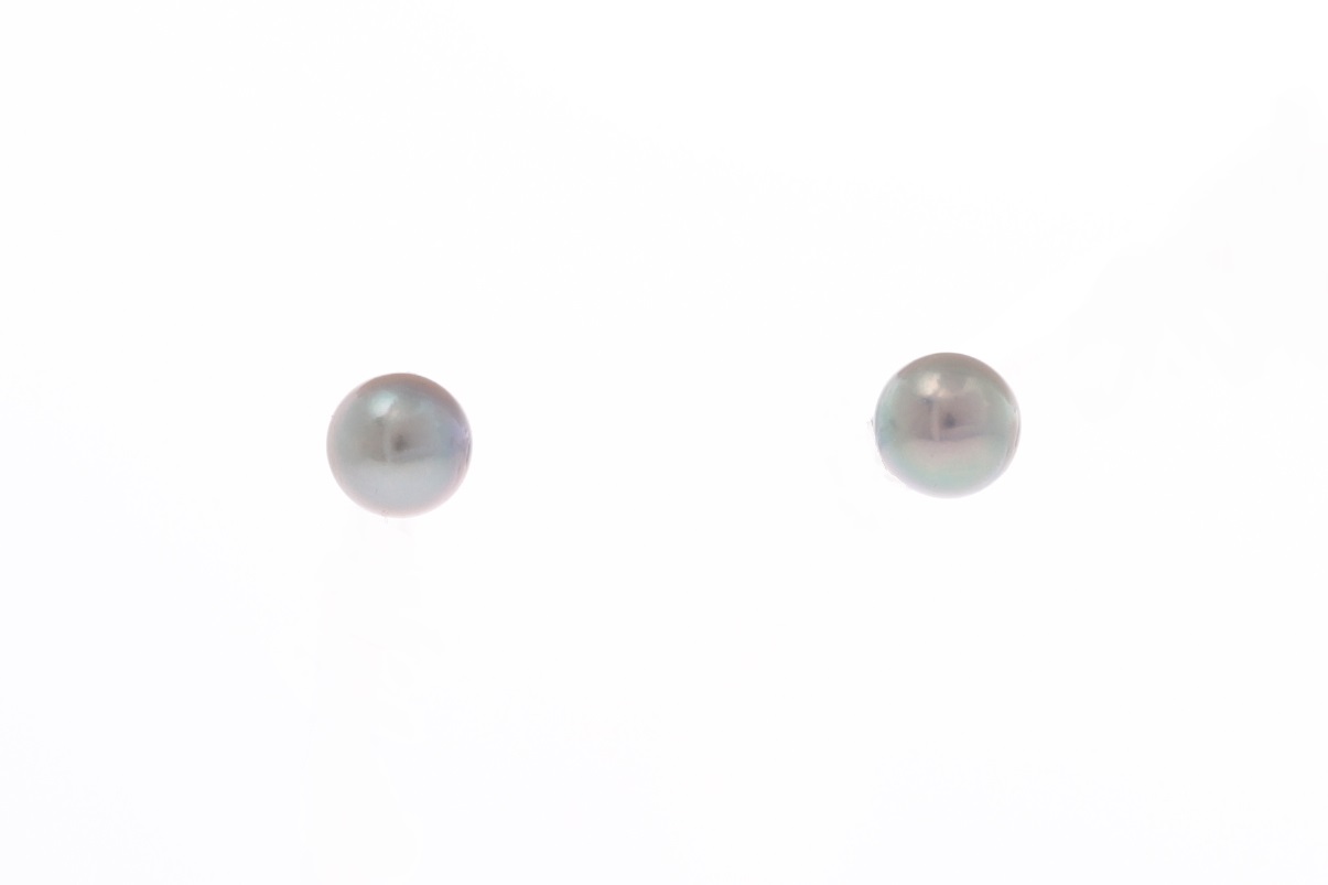Perlenohrringe-Akoya in AAA-Qualität in Gold 4.5–5 mm