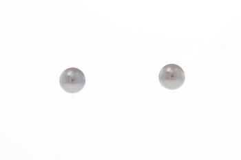 Perlenohrringe-Akoya in AAA-Qualität in Gold 4.5–5 mm