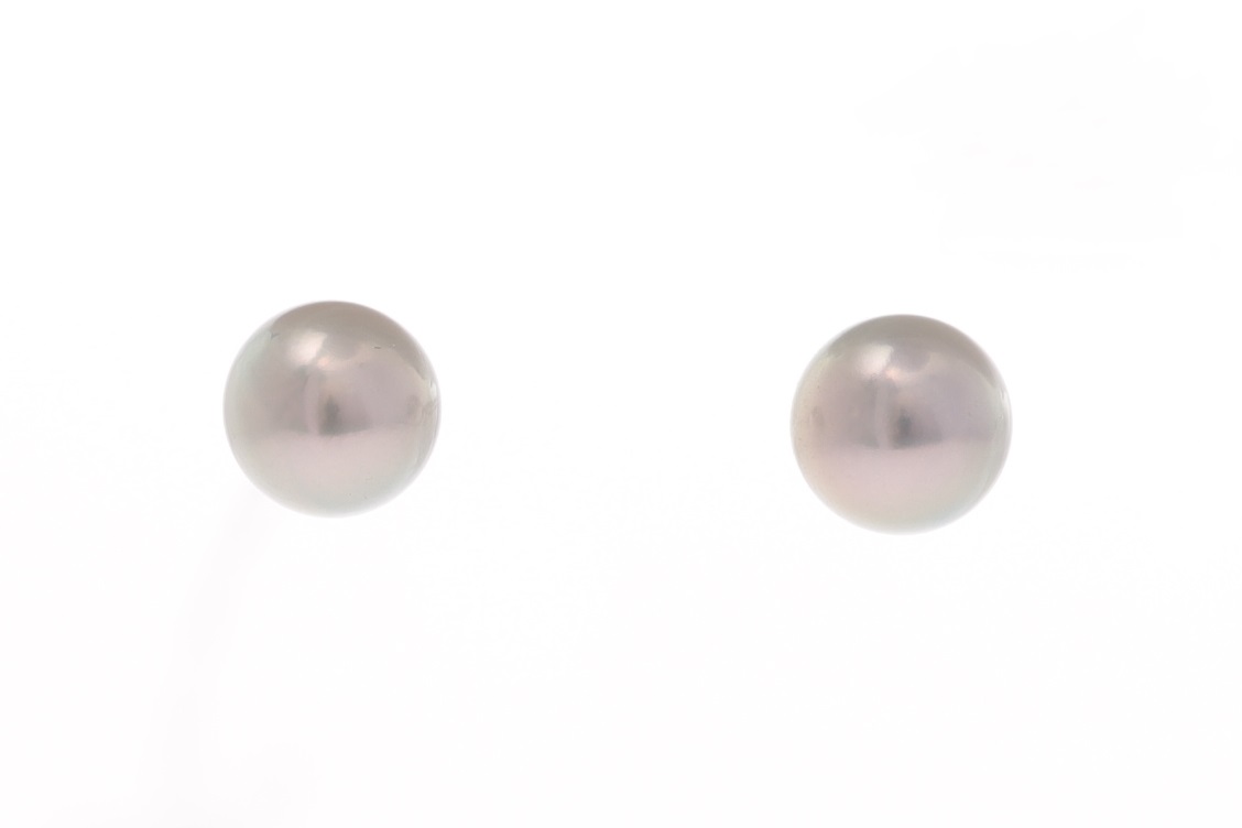 Perlenohrringe-Akoya in Weißgold 7.5–8 mm