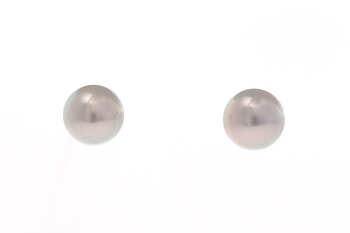 Perlenohrringe-Akoya in Weißgold 7.5–8 mm