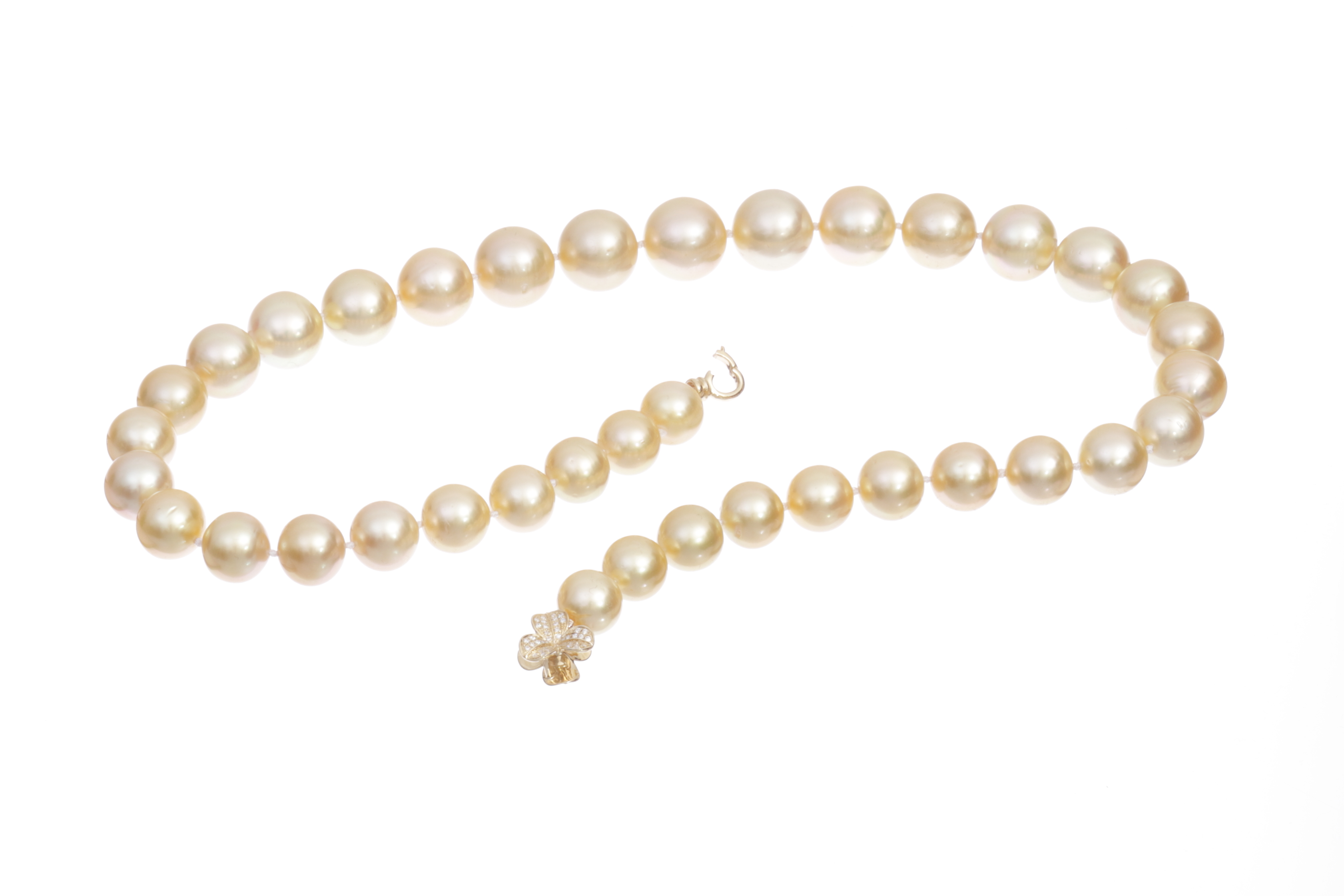 South Sea pearl necklace in shimmering golden tones 10-13.7mm AA-AAA Quality - 7