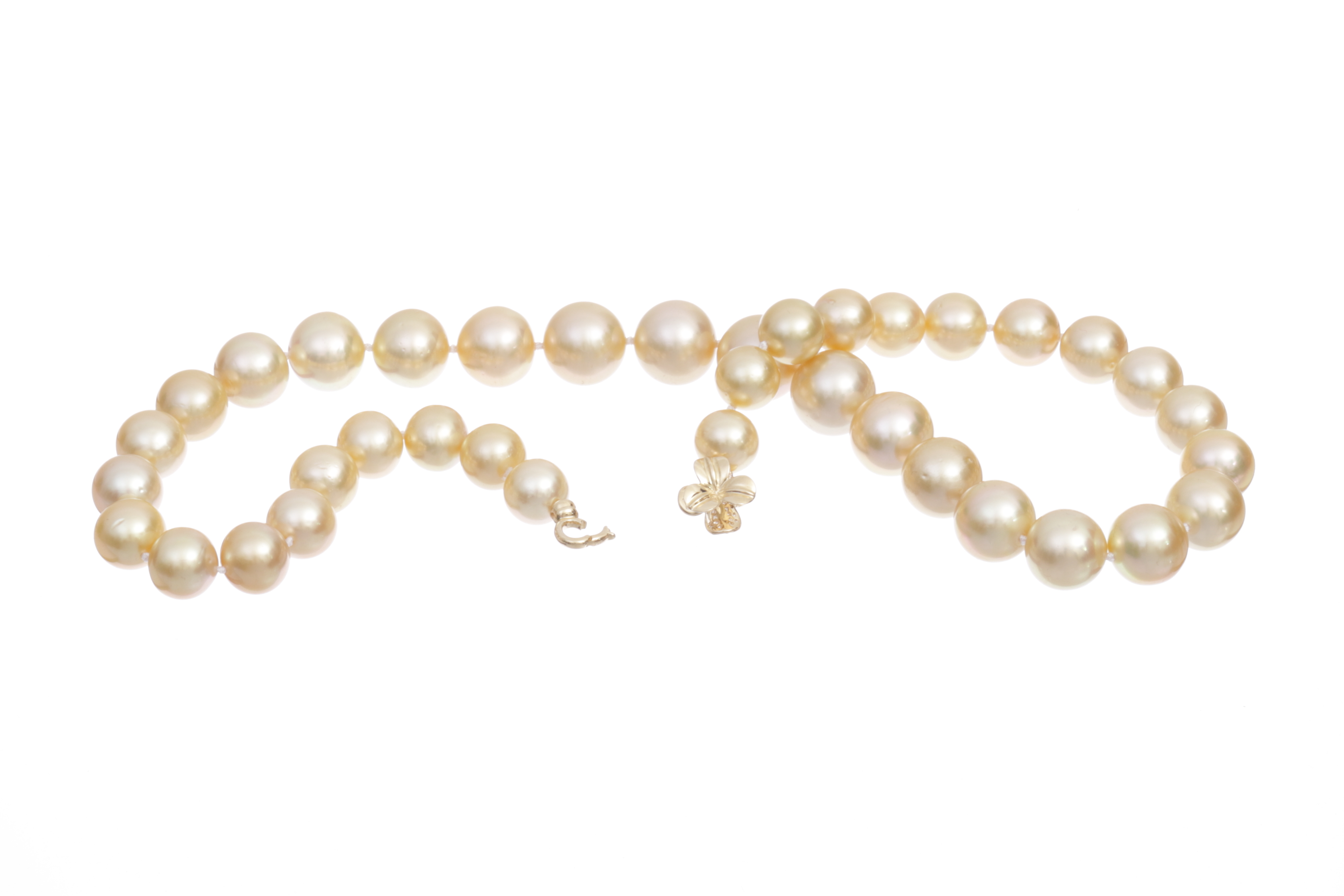 South Sea pearl necklace in shimmering golden tones 10-13.7mm AA-AAA Quality - 6