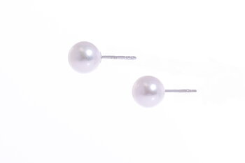 Perlenohrringe-Akoya in AAA-Qualität in Weißgold 7–7.5 mm