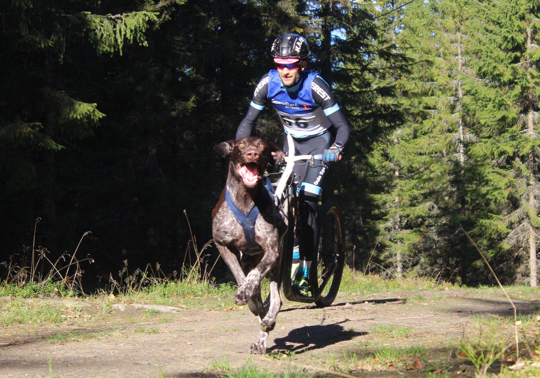 KICKBIKE sparkcykel Cross Max 29er svart  - 17