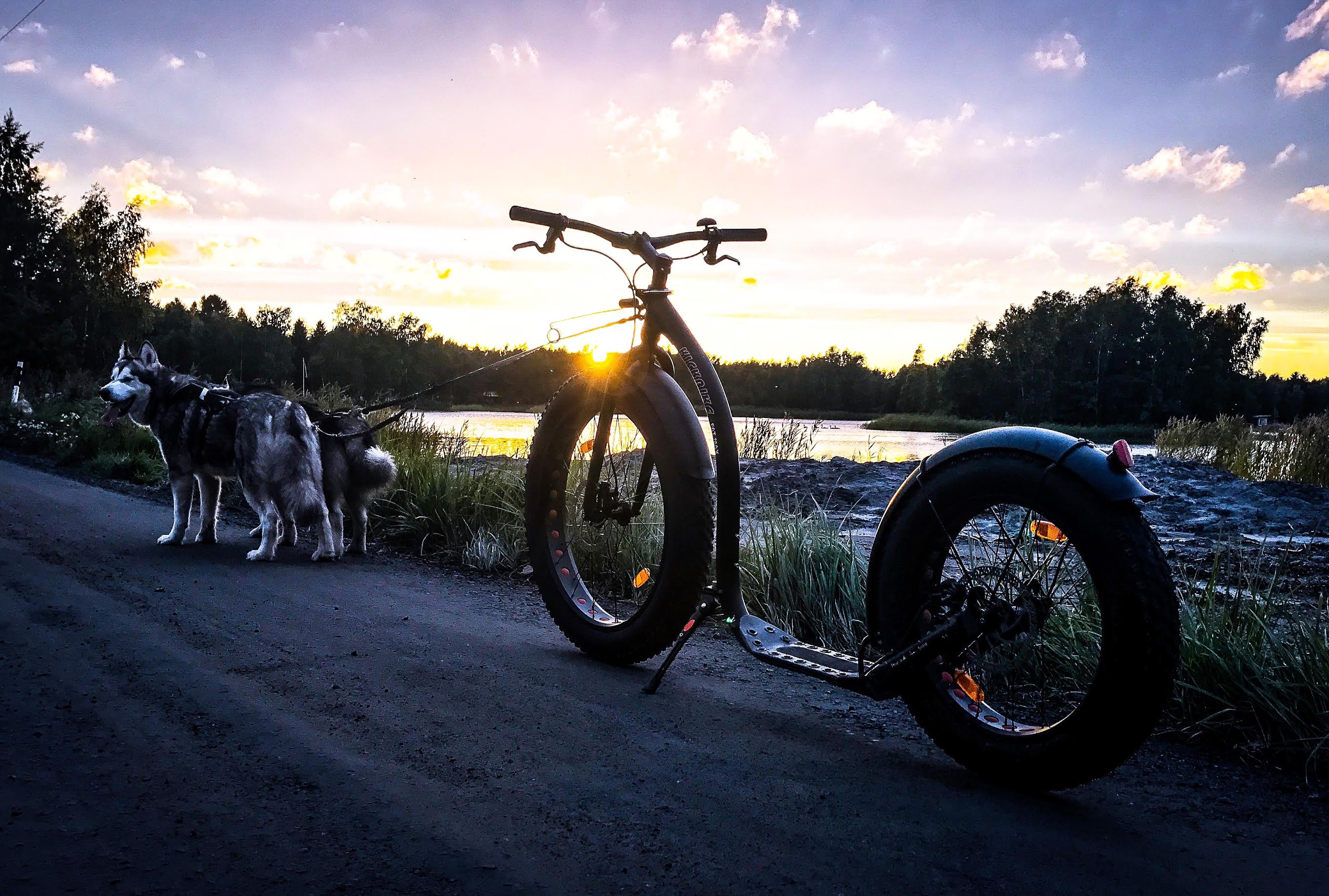 KICKBIKE sparkcykel Fat Max svart  - 2