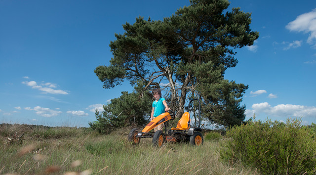 BERG trampbil X-Cross BFR-3 - 7