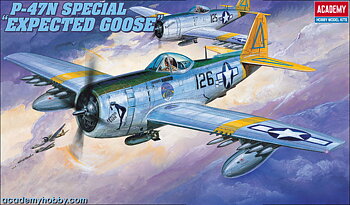 1/48 P-47N Special