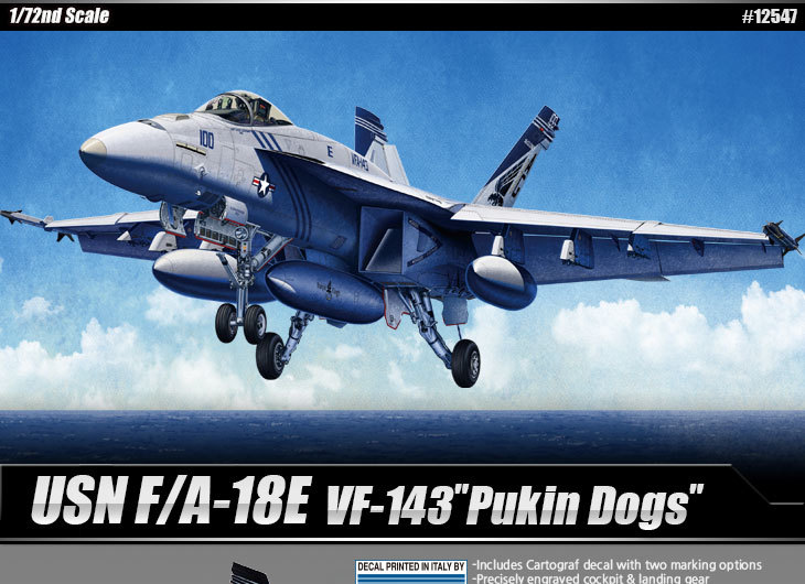 1/72 F/A-18E USN "VFA-143 Pukin Dogs"