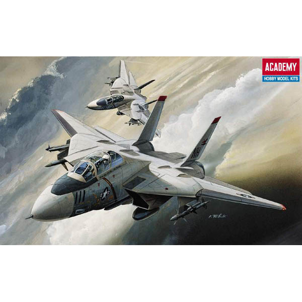 1/144 F-14 Tomcat