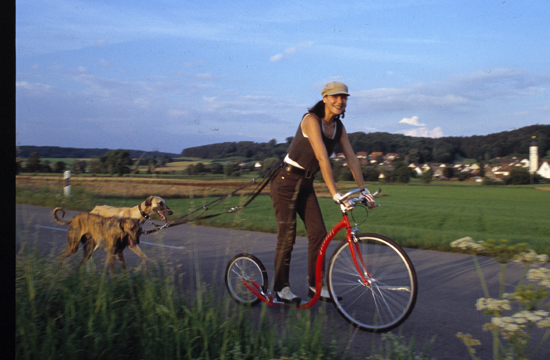 KICKBIKE sparkcykel Sport G4 röd  - 3