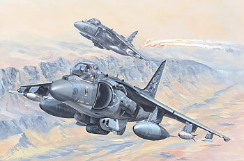 1/18 Av-8B Harrier II