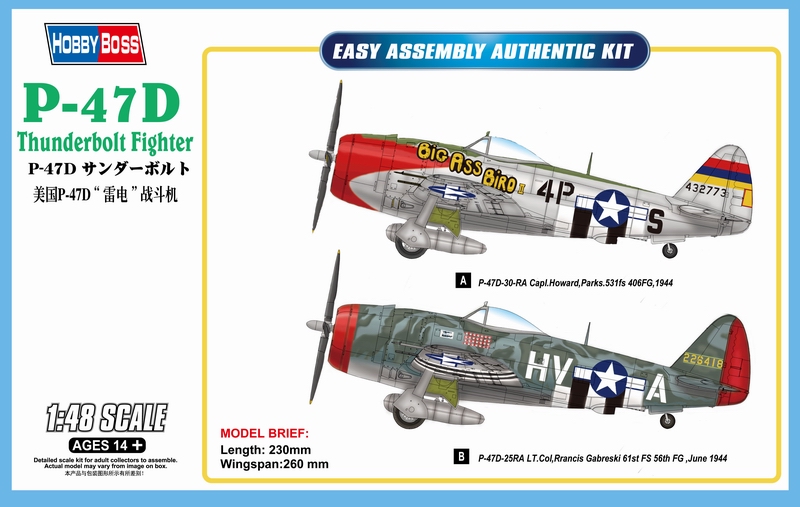 1/48 P-47D Thunderbolt