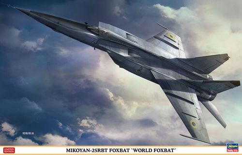 1/48 Mig-25RBT Foxbat