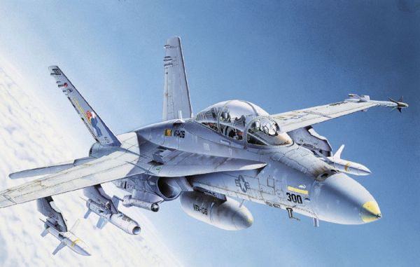 1/72 F/A-18 Wild Weasel C/D incl. Fi Decal