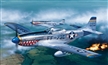 1/72 P-51D  Mustang