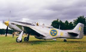 1/72 P-51D  Mustang Incl SE Decal - 2