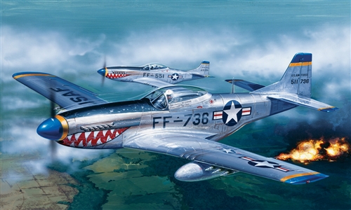 1/72 P-51D  Mustang Incl SE Decal