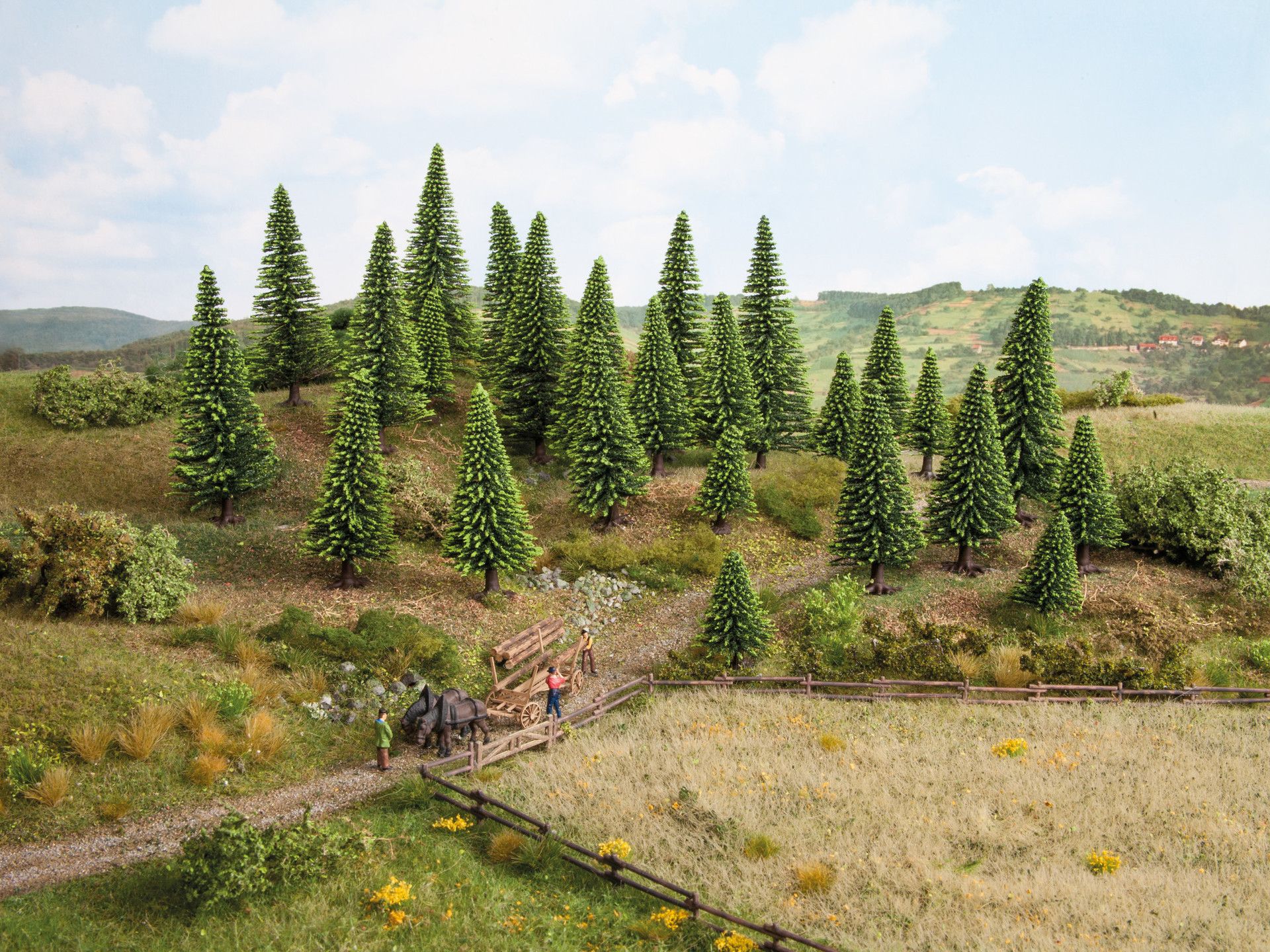 Gran/Spruce Trees - 10 pieces, 5 - 14 cm high