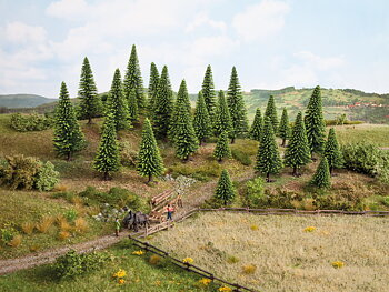 Gran/Spruce Trees - 10 pieces, 5 - 14 cm high