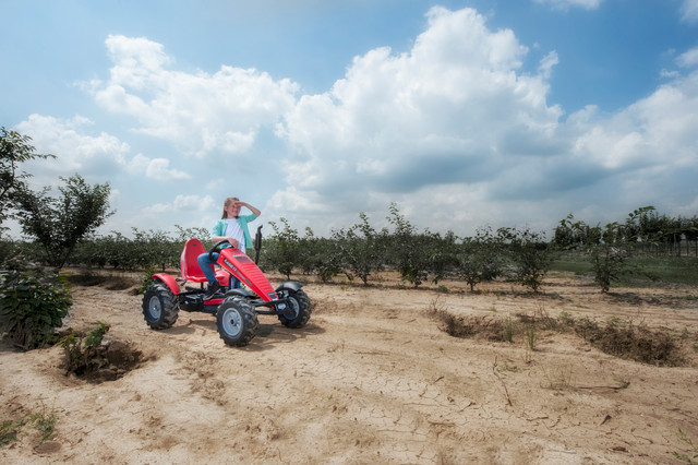 BERG tramptraktor Case-IH BFR-3  - 10
