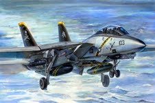 1/32 F-14B Tomcat