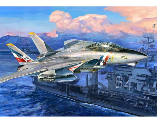 1/32 F-14D Tomcat