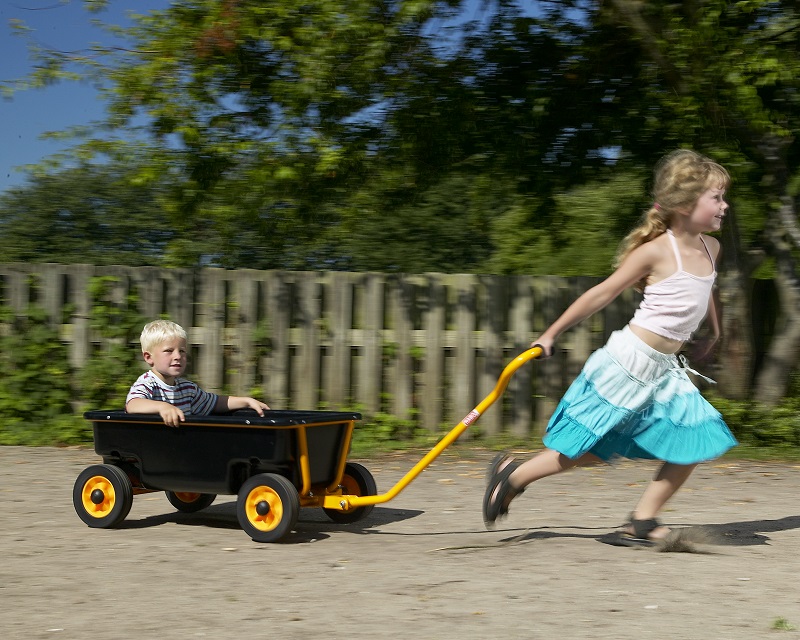 RABO skrinda Cart  - 3