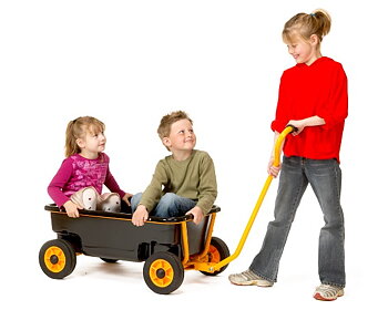 RABO skrinda Cart 