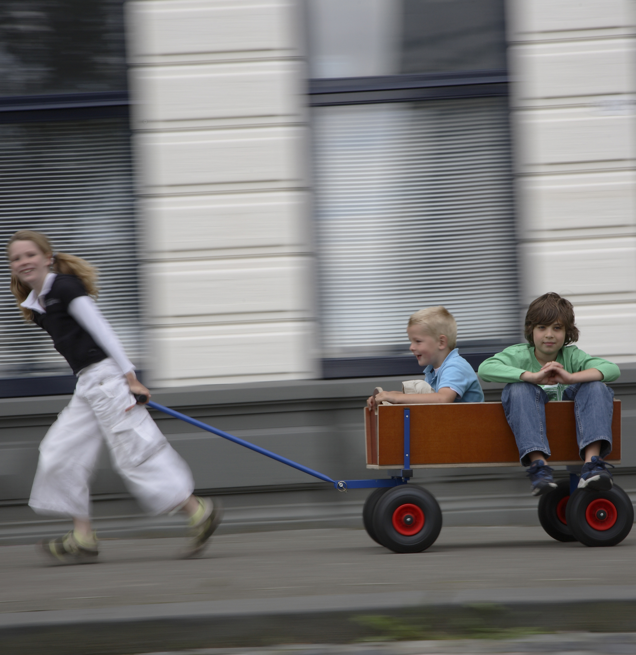 BERG skrinda Beachwagon L - 3