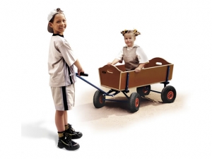 BERG skrinda Beachwagon L - 4