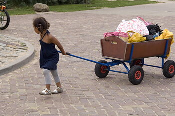 BERG skrinda Beachwagon L