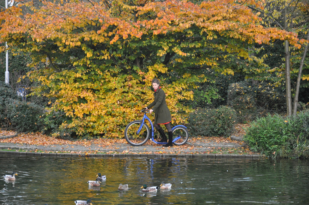 KICKBIKE sparkcykel Cruise Max 20 blå  - 4