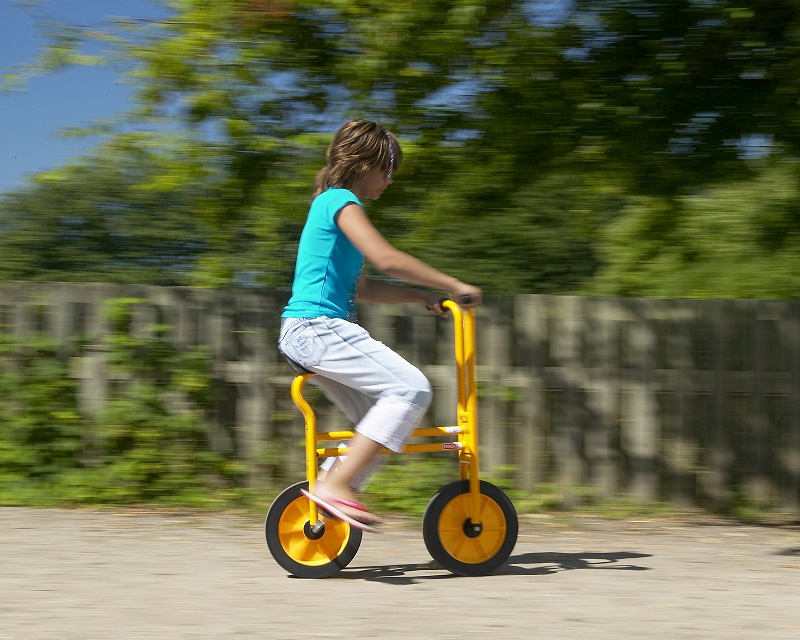 RABO cykel Artist Bike - 4
