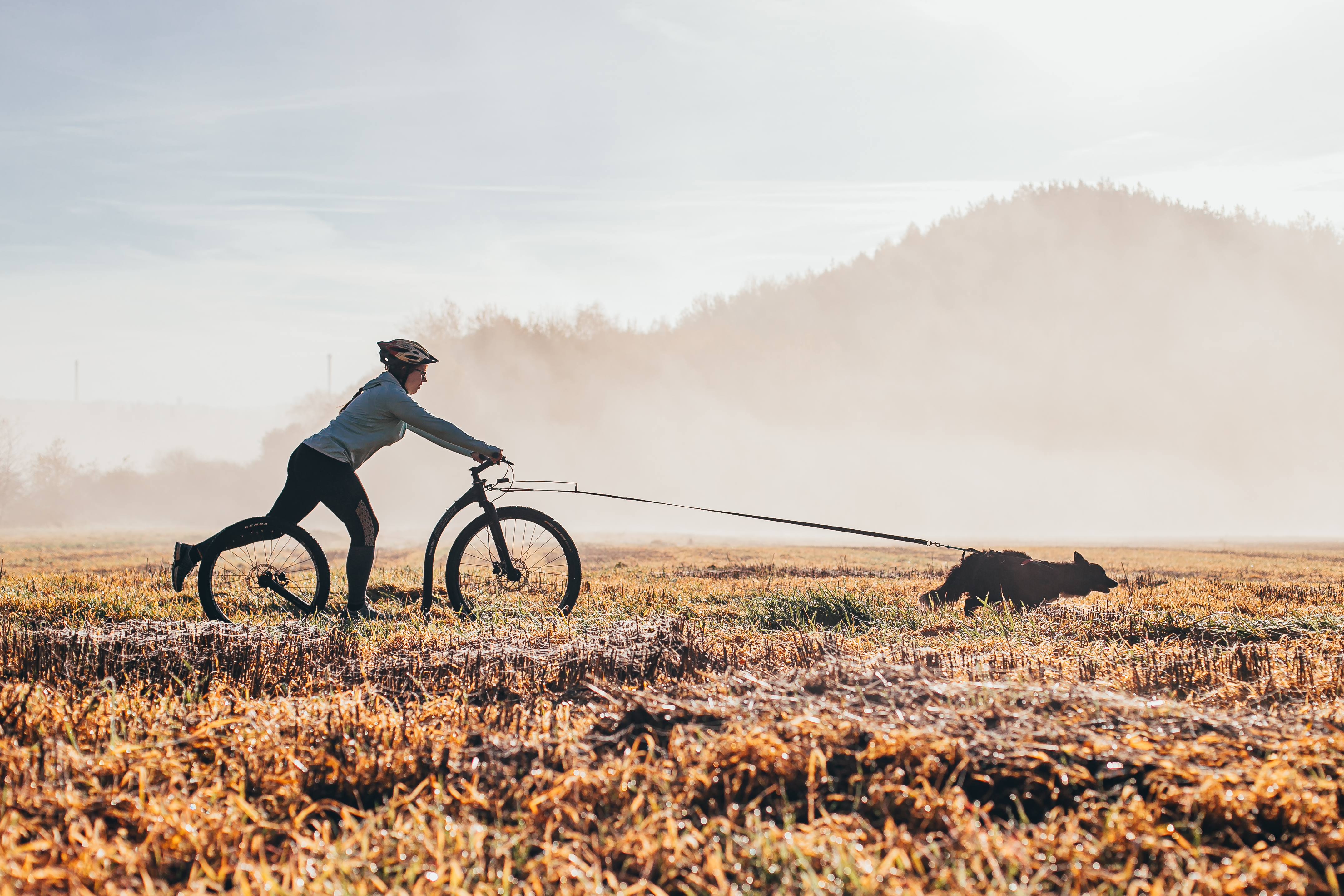 Kickbike  Se produkter