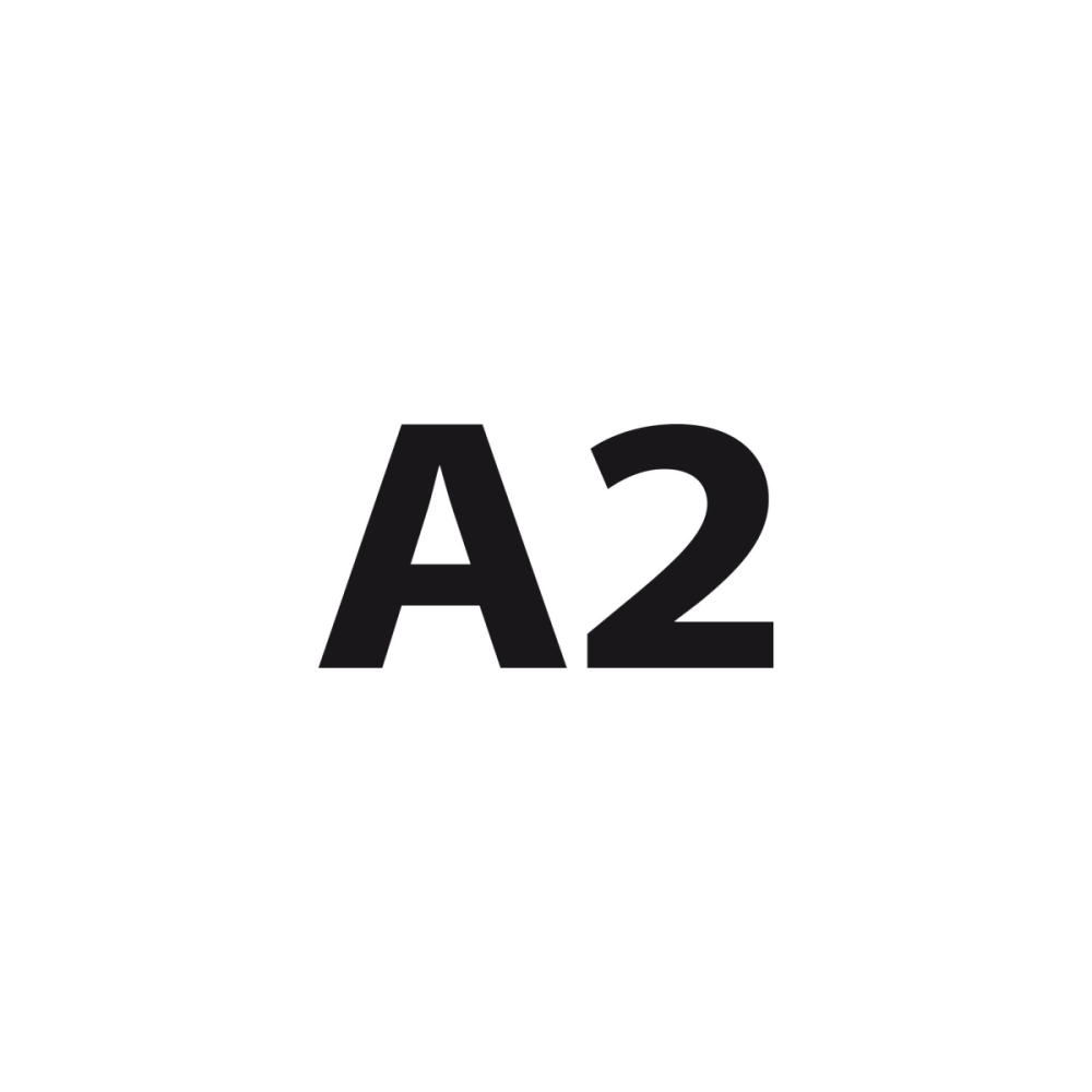 A2