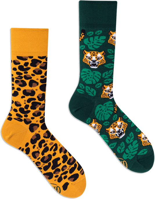 Many Mornings El Leopardo