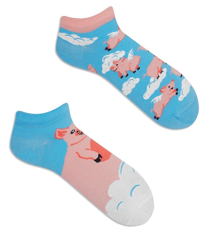 Many Mornings Piggy Dream