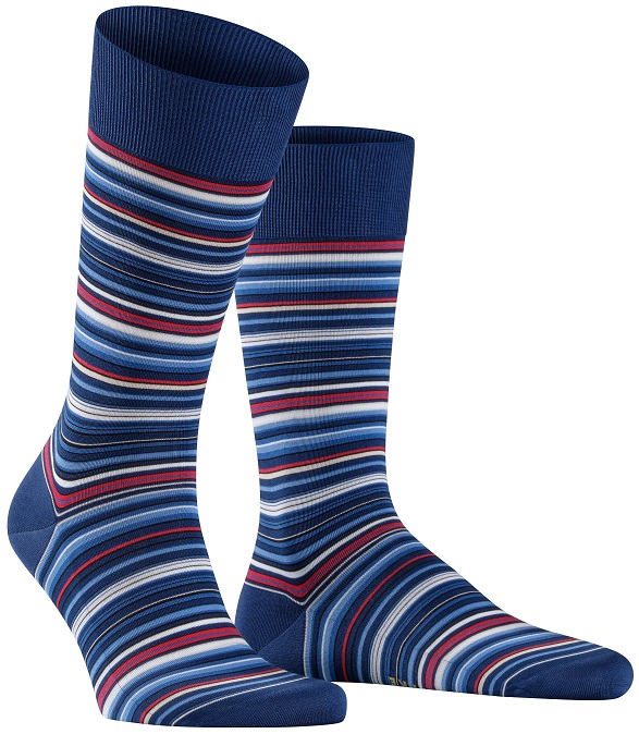 FALKE Microblock Men Socks