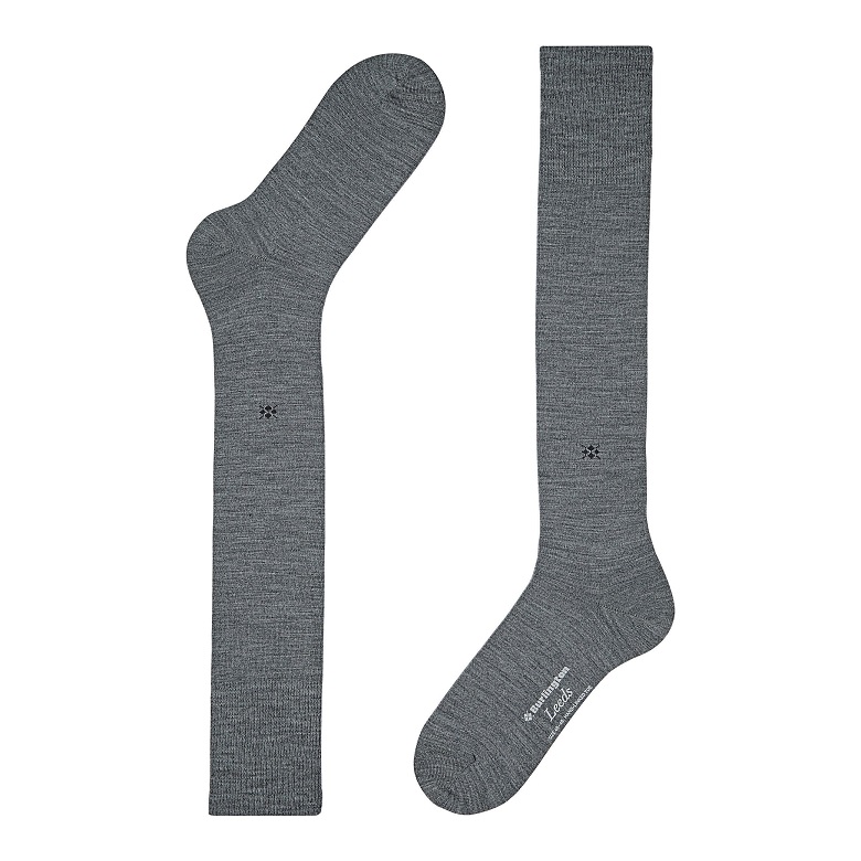 Burlington Climate Control, Ull Herr - 2