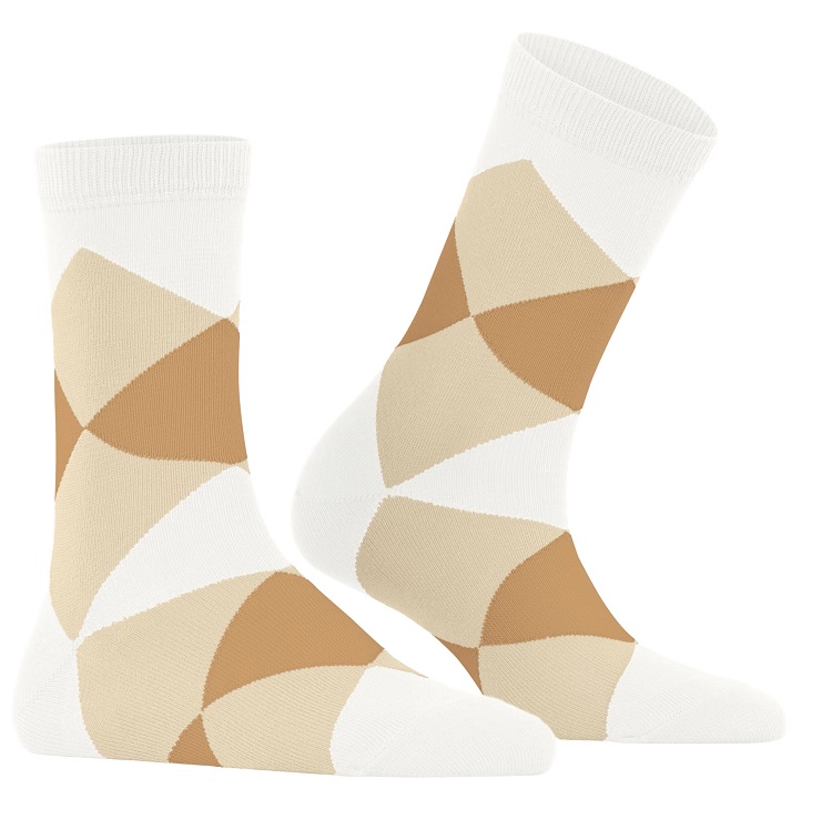 Burlington Bonnie Dam