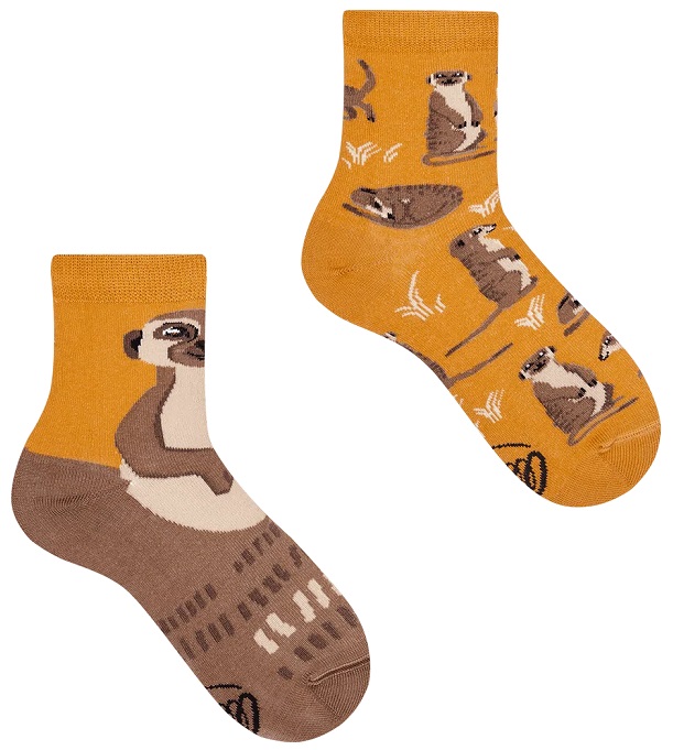 Many Mornings Meerkat Kids