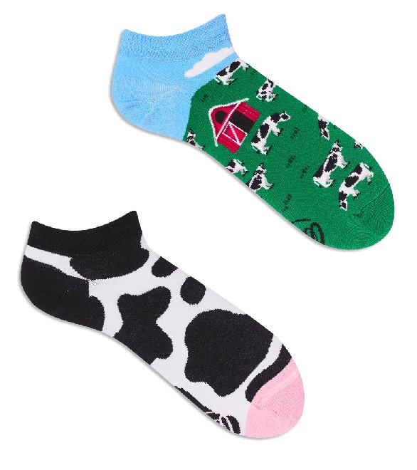 Many Mornings Holy Cow