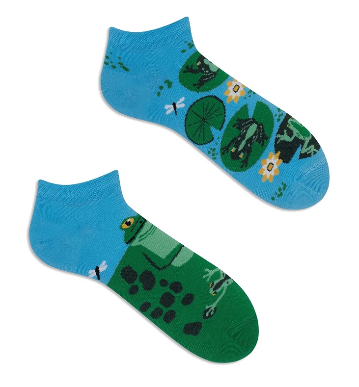 Many Mornings Froggy Frog