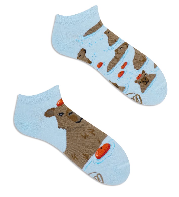 Many Mornings Capybara