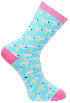 Millers Flamingos